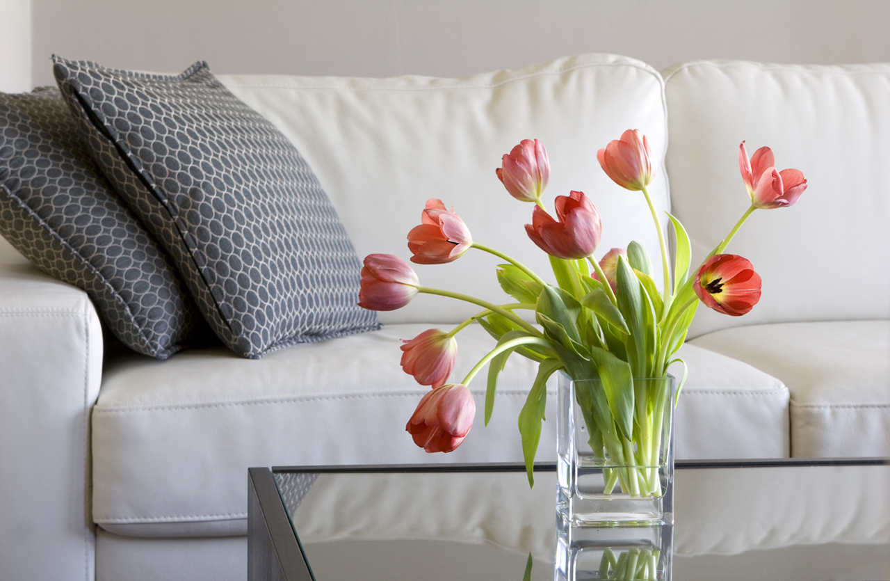 red-tulips-in-modern-living-room---home-decor